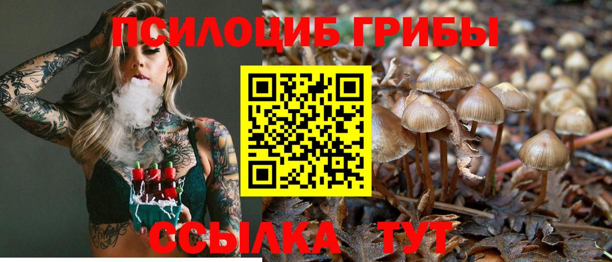 Псилоцибиновые грибы мицелий  Вход с VPN  Псилоцибиновые грибы мухоморы  Майский 